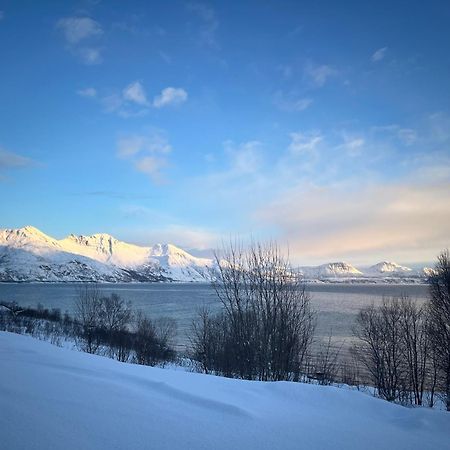 Vila Fantastic View, Quiet And Relaxing By The Sea Kvaloya Exteriér fotografie